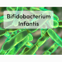 Bifidobacterium infantis